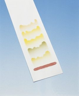 Carta cromatografica 100 strisce