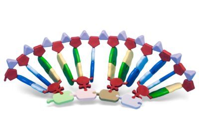 Kit di sintesi proteica dell'RNA