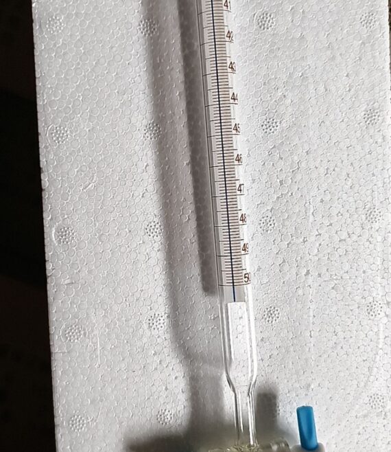 47155-1733998741-1.jpg