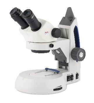 SWIFT / ARGENTO Stereomicroscopio 30S, 20x/40x