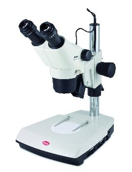 Stereomicroscopio MOTIC SMZ-171 BLED