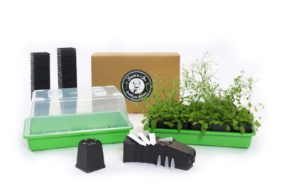 Esperimenti studenteschi Le regole mendeliane dell'ereditarietà - Mendel in a Box