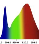 65752-99b.jpg