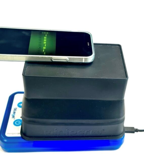 bluegel-mit-smartphone.jpg