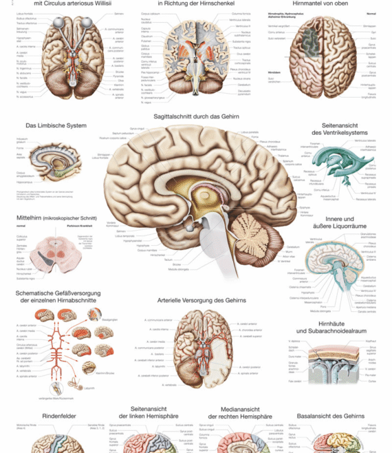 erl-al114d-1614683496.png