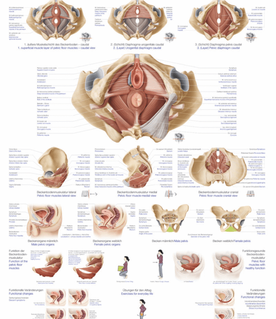erl-al138-1614683386.png