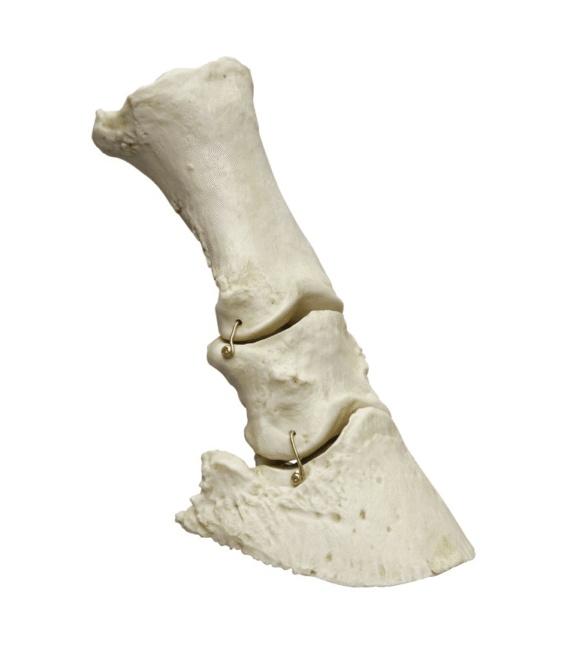 erl-vet4360-1614683572.png