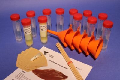 Estrazione del DNA dal fegato