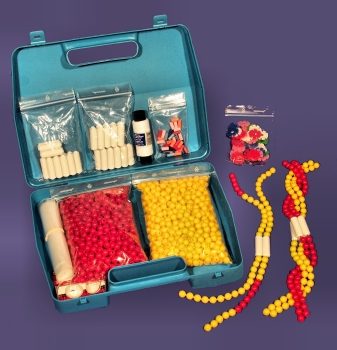 Simulazione cromosomica, kit grande in custodia