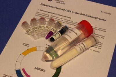 Kit: DNA plasmidico batterico in elettroforesi su gel