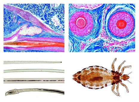 lie-7900-1614680152.jpg