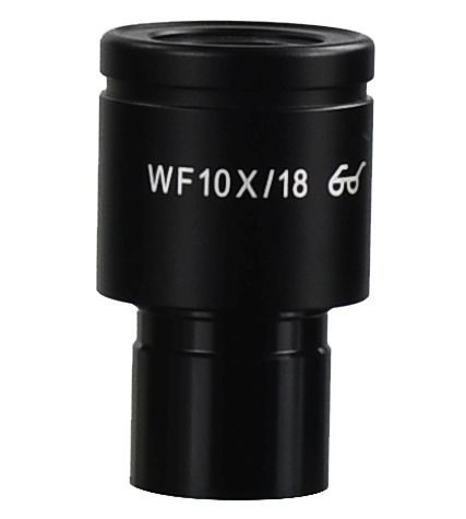 mic-10x-1677326449.jpg