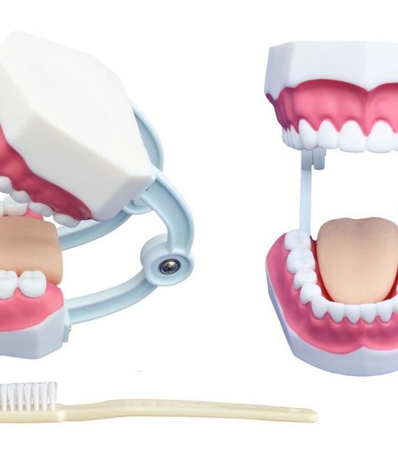mod-teeth-1677872458.jpg