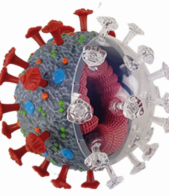 modcoronavirus-1697795932.jpg