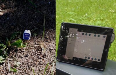 Cambiamenti delle condizioni di luce in un bosco con Cobra SMARTsense
