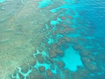Acidificazione degli oceani aumentando il contenuto di CO2 con Cobra SMARTsense