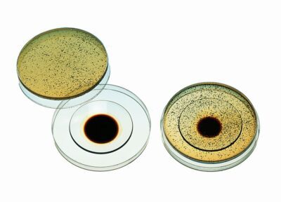 Decomposizione microbica dell'olio minerale