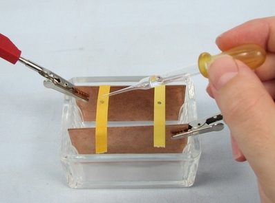 Test che conferma la migrazione degli ioni mediante carta indicatrice