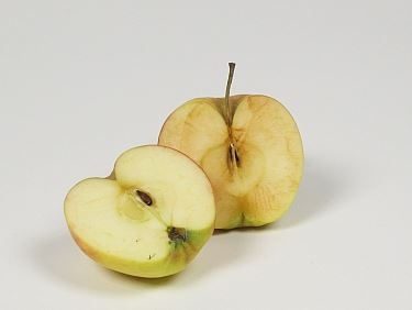 Doratura enzimatica