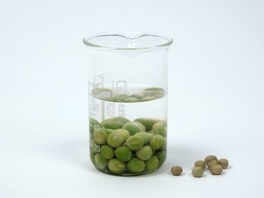 Gonfiore