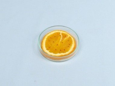 Inibizione della germinazione nei frutti