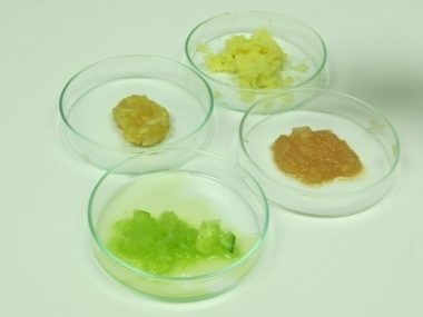 La combinazione dei sensi del gusto e dell'olfatto