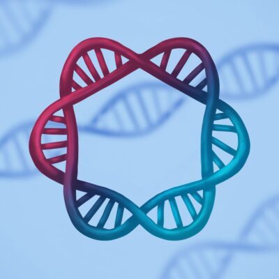 Elettroforesi del DNA plasmidico con la camera elettroforetica blueGel™