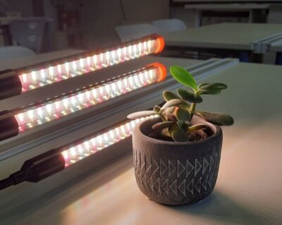 Test del valore del pH su piante succulente con Cobra SMARTsense