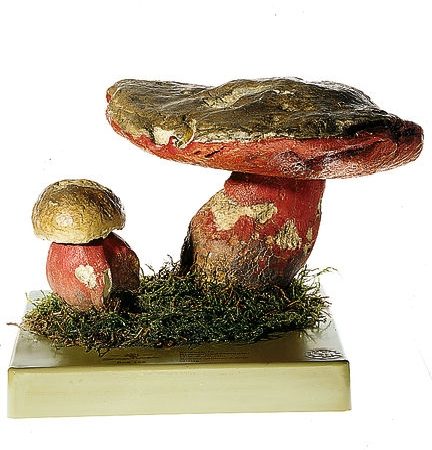 som-bos166-1614678689.jpg