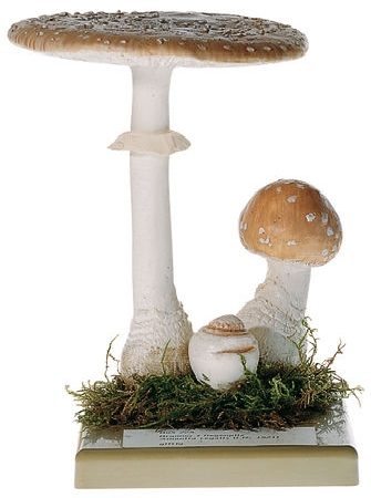 som-bos228-1614678532.jpg