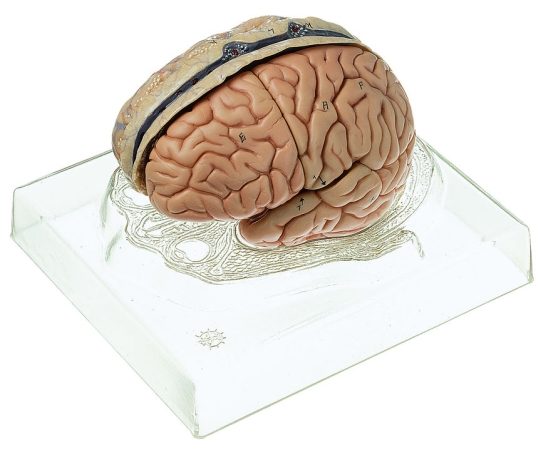 som-bs23-3-v1-1614678092.jpg