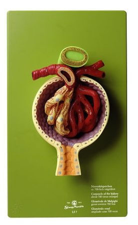 Glomerulo