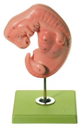 som-ms11-1614677781.jpg
