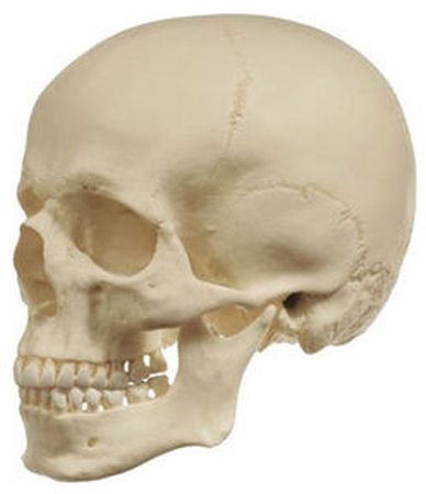 som-qs1-v1-1614677229.jpg