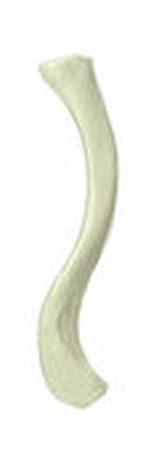som-qs19-1614677124.jpg