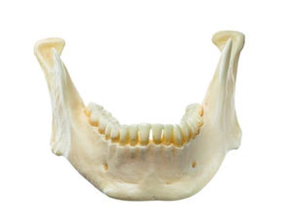 som-qs19-73-v1-1614677263.jpg