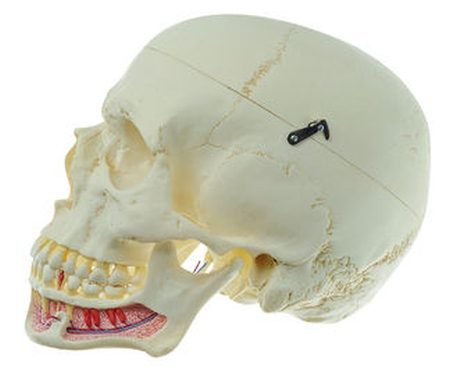 som-qs2-v4-1614676899.jpg