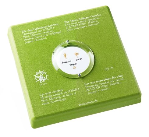 som-qs69-1614676683.jpg