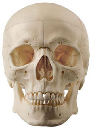 som-qs7-8e-1614676601.jpg