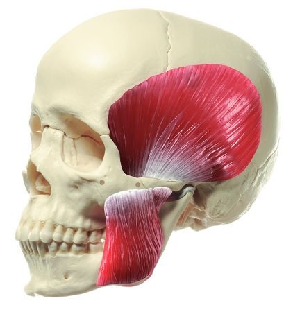 som-qs8-218-m-v1-1614676658.jpg