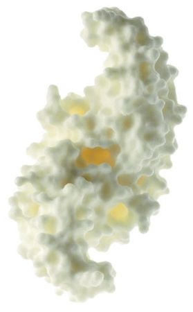 som-zos57-10-a-1614675488.jpg