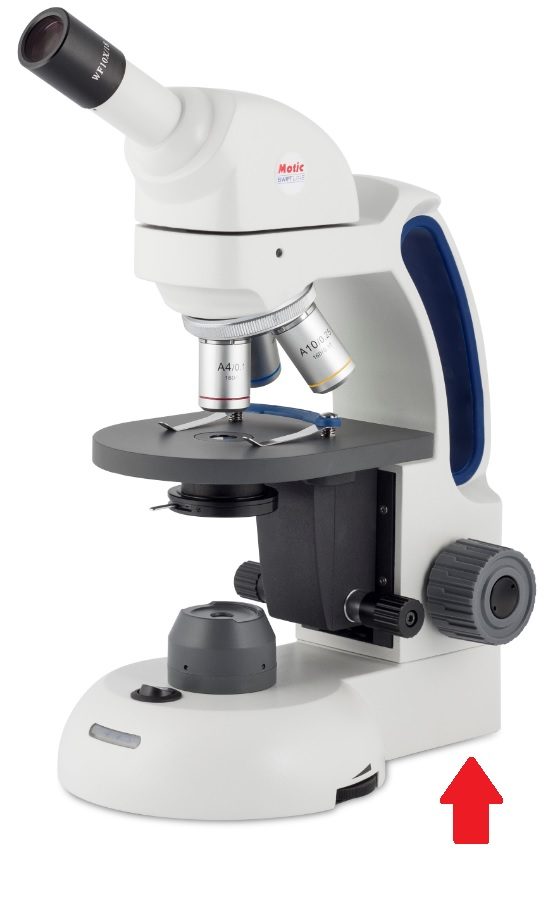 sp-6302099-1665488640.jpg