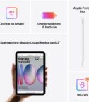 iPad mini Wi-Fi 256GB - Galassia