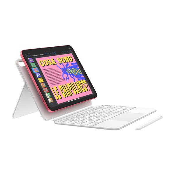 iPad Wi-Fi 256GB - Rosa