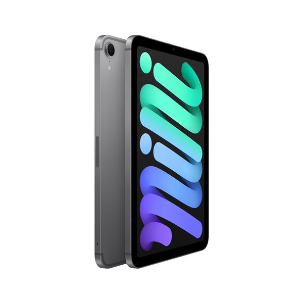 iPad mini Wi‑Fi + Cellular 512GB - Grigio siderale