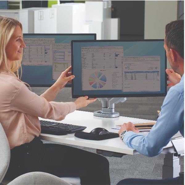 BRACCIO MONITOR DOPPIO EPPA COLORE SILVER