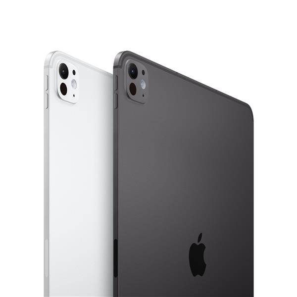 iPad Pro 11" Wi‑Fi + Cellular 2TB con vetro standard - Nero siderale