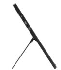 ZenScreen Full HD LED