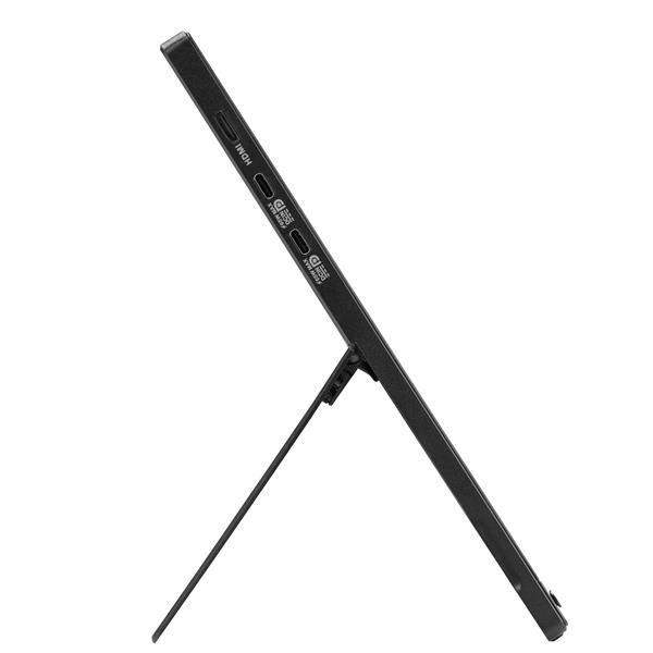 ZenScreen Full HD LED