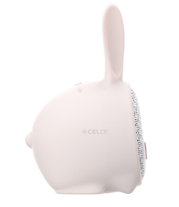 3W Wireless Speaker Summer